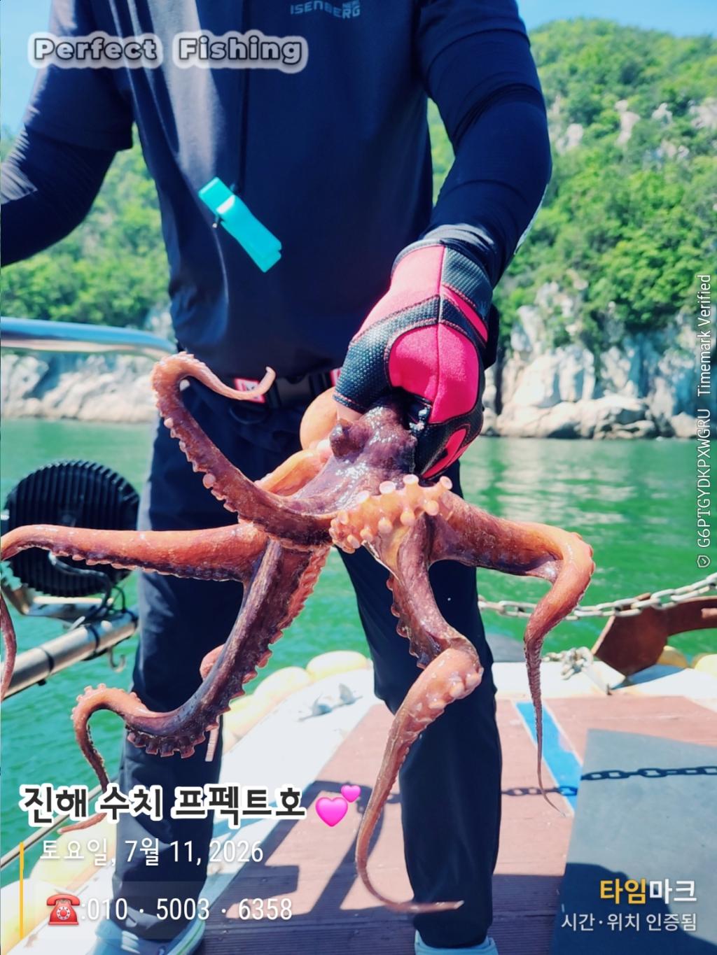 낚시뚜,문어,진해 수치마을 방파제,퍼펙트호,낚시뚜8