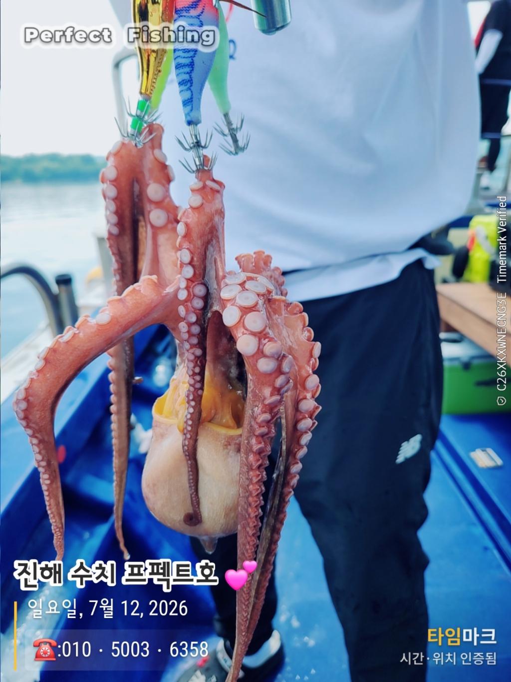 낚시뚜,문어,진해 수치마을 방파제,퍼펙트호,낚시뚜2