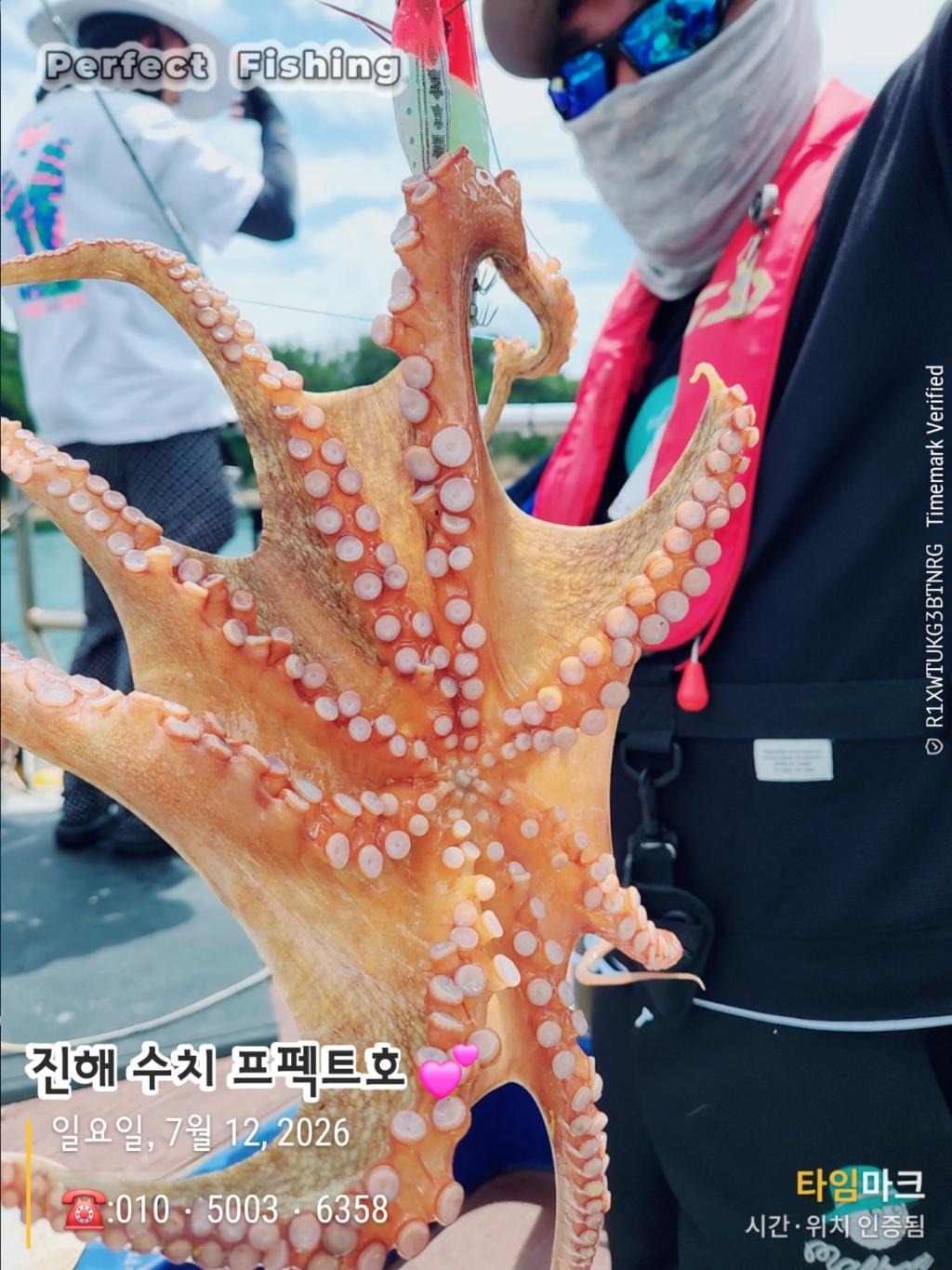 낚시뚜,문어,진해 수치마을 방파제,퍼펙트호,낚시뚜8