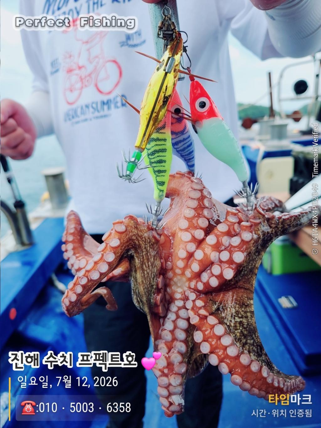 낚시뚜,문어,진해 수치마을 방파제,퍼펙트호,낚시뚜9
