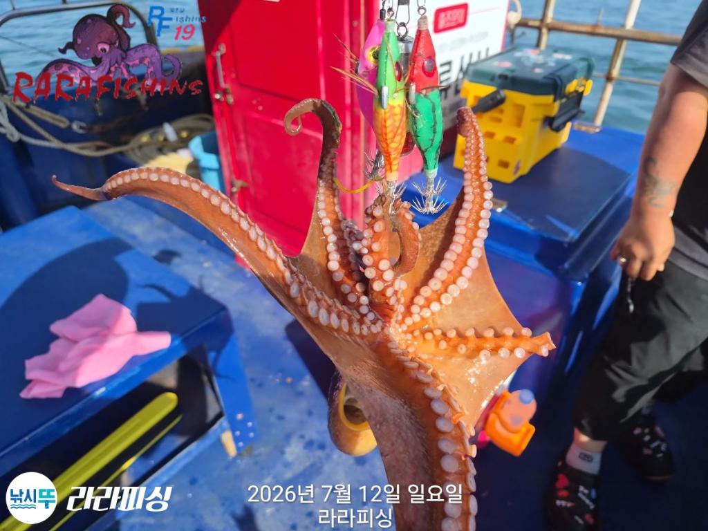 낚시뚜,돌문어,속천항(진해),라라피싱,낚시뚜10