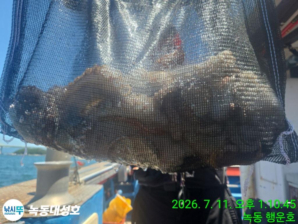낚시뚜,돌문어,녹동항,녹동대성호,낚시뚜30