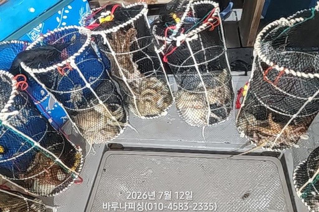 낚시뚜,돌문어,속천항(진해),바루나피싱,낚시뚜11