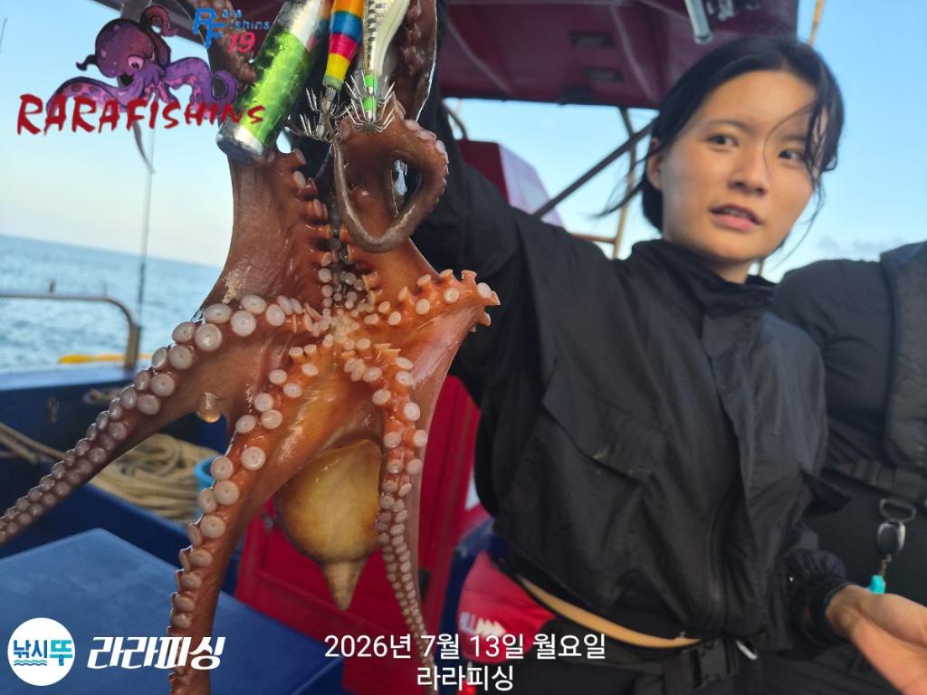 낚시뚜,돌문어,속천항(진해),라라피싱,낚시뚜0