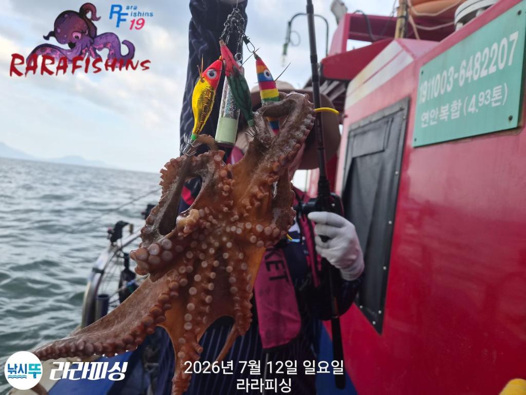 낚시뚜,돌문어,속천항(진해),라라피싱,낚시뚜8