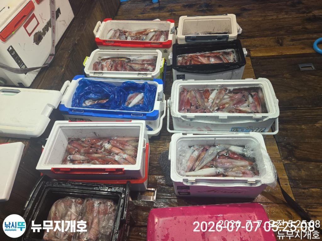 낚시뚜,한치,오징어,통영영운리항,뉴무지개호,낚시뚜19