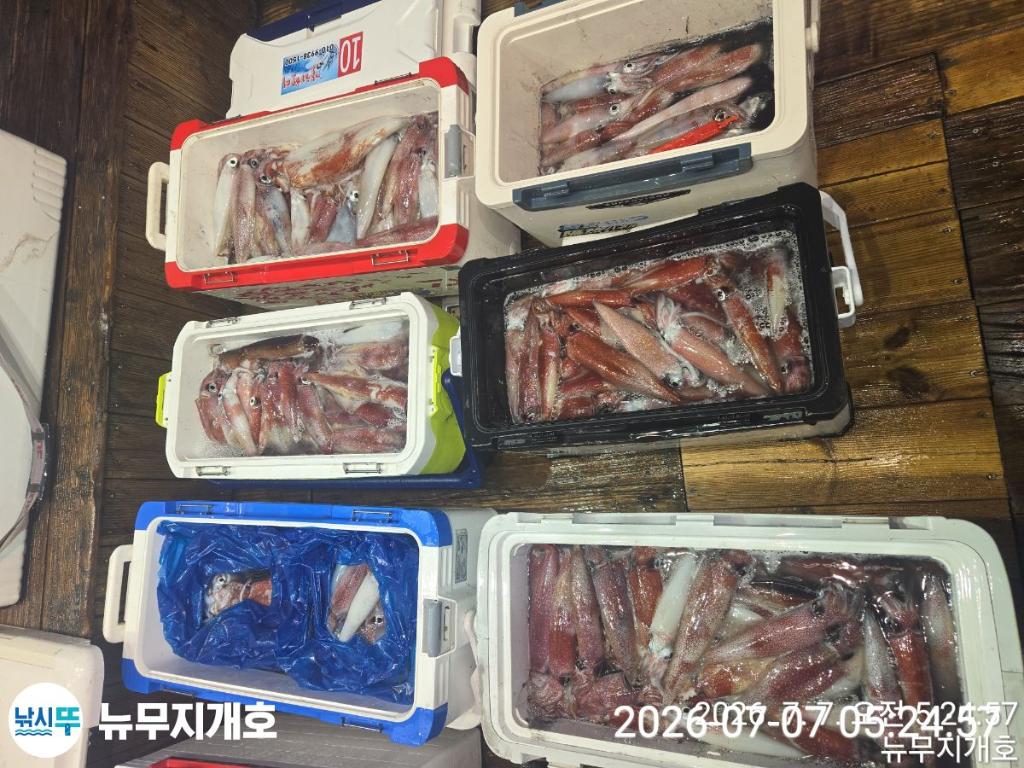 낚시뚜,한치,오징어,통영영운리항,뉴무지개호,낚시뚜18