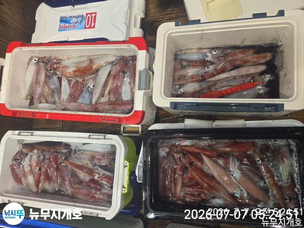 낚시뚜,한치,오징어,통영영운리항,뉴무지개호,낚시뚜17