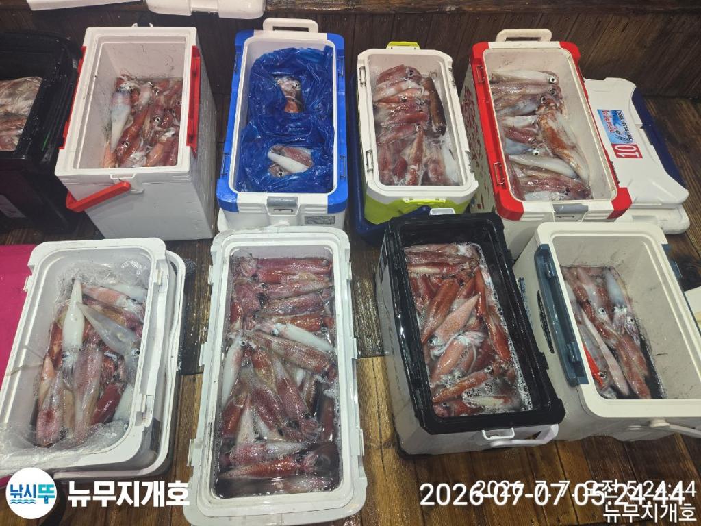 낚시뚜,한치,오징어,통영영운리항,뉴무지개호,낚시뚜16