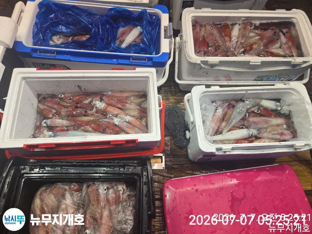 낚시뚜,한치,오징어,통영영운리항,뉴무지개호,낚시뚜15