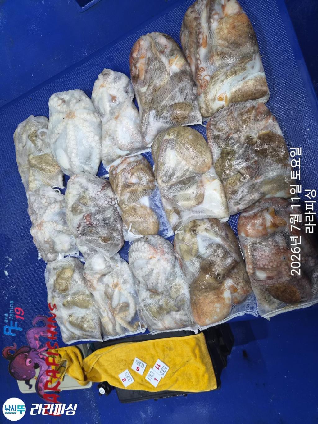 낚시뚜,돌문어,속천항(진해),라라피싱,낚시뚜15