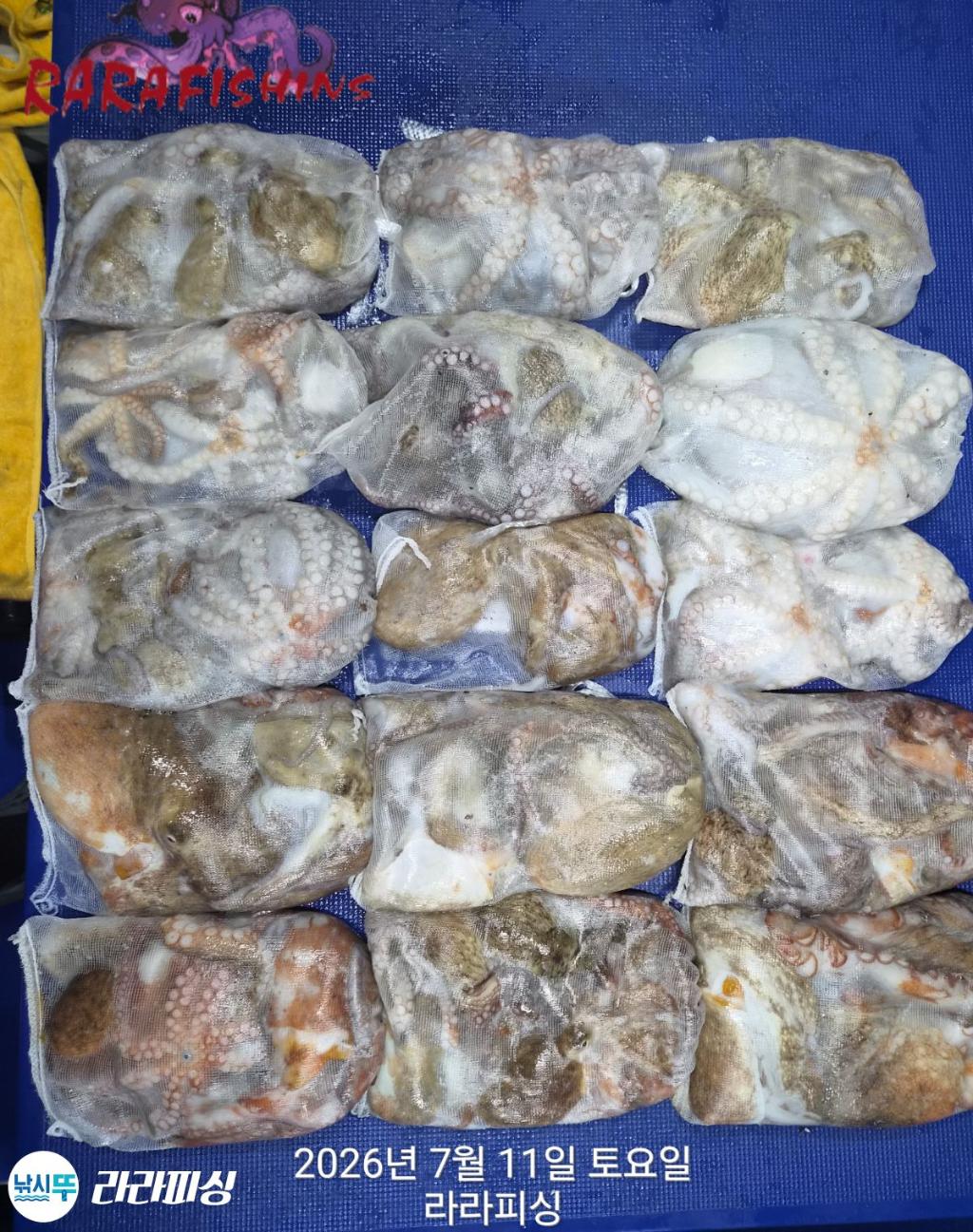 낚시뚜,돌문어,속천항(진해),라라피싱,낚시뚜15