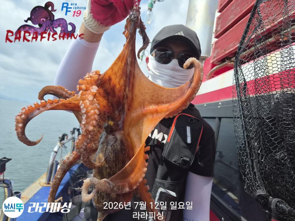 낚시뚜,돌문어,속천항(진해),라라피싱,낚시뚜14