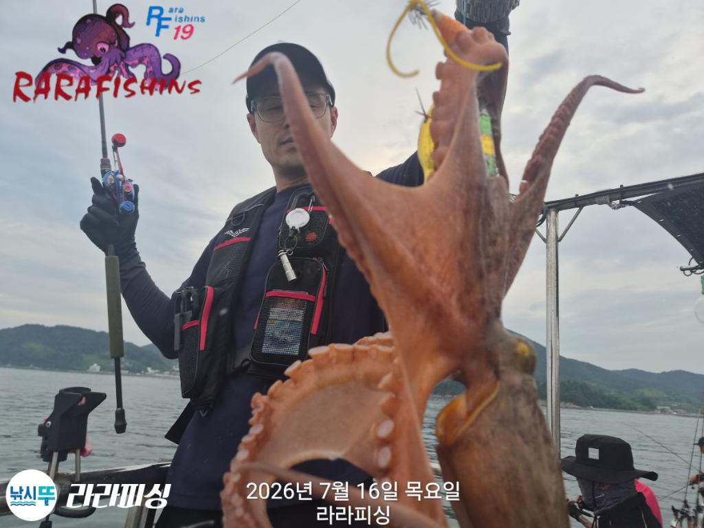 낚시뚜,돌문어,속천항(진해),라라피싱,낚시뚜7