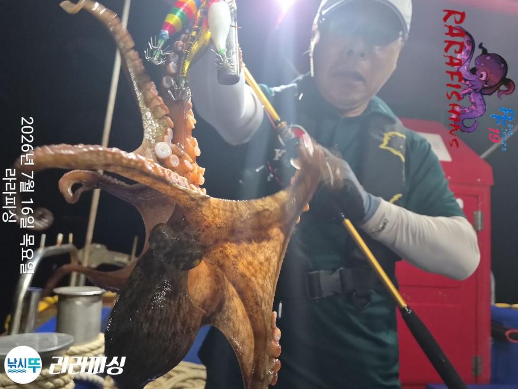 낚시뚜,돌문어,속천항(진해),라라피싱,낚시뚜3