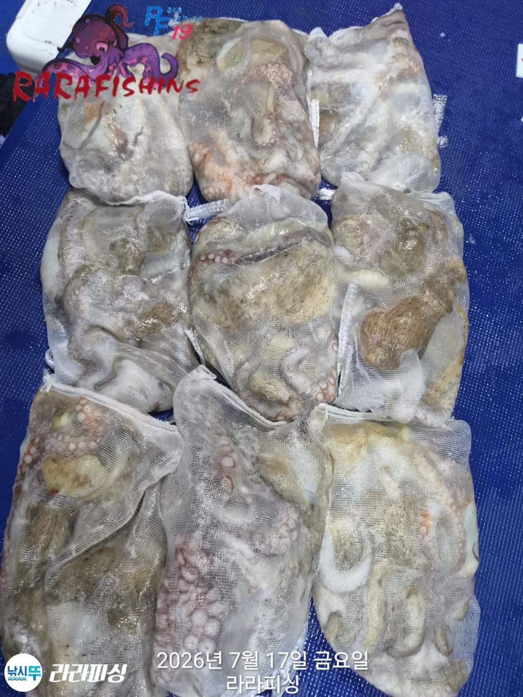 낚시뚜,돌문어,속천항(진해),라라피싱,낚시뚜1