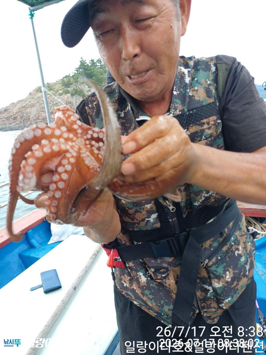 낚시뚜,돌문어,냉천항,일랑이다호,낚시뚜3