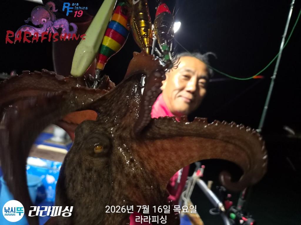 낚시뚜,돌문어,속천항(진해),라라피싱,낚시뚜4