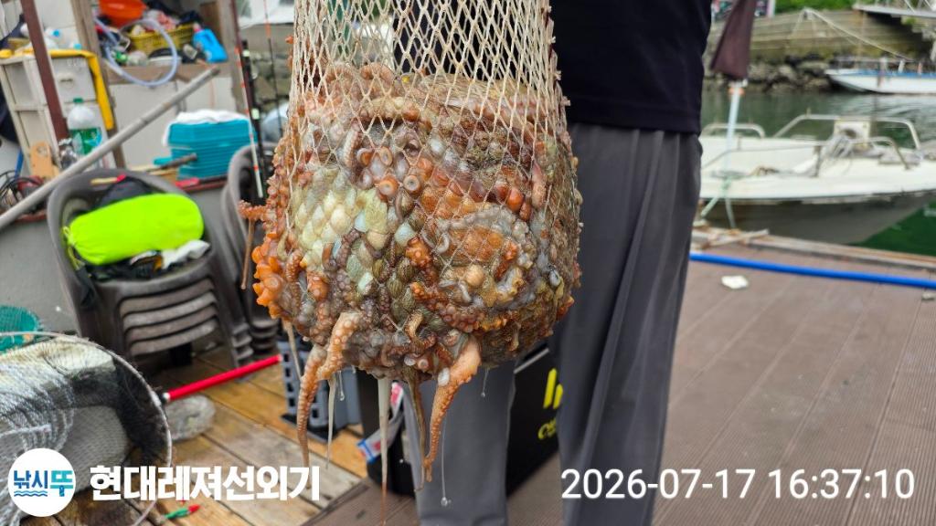 낚시뚜,돌문어,풍화상장마을,통영 현대레져선외기,낚시뚜10