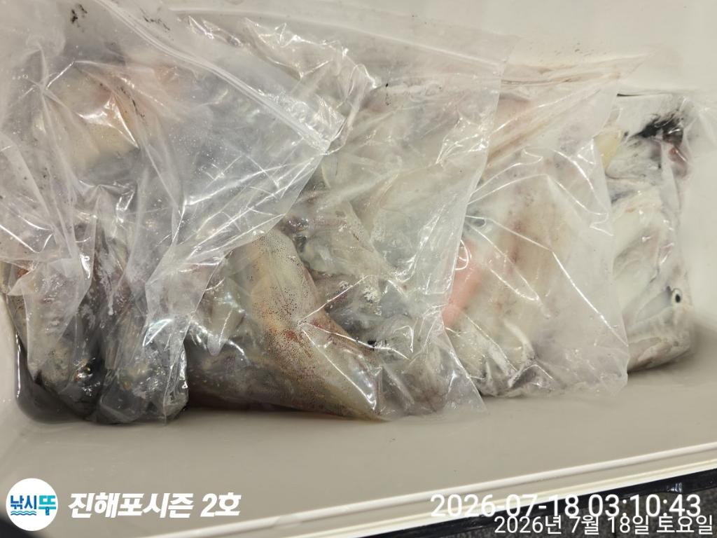 낚시뚜,한치,진해행암항,진해포시즌 2호,낚시뚜6