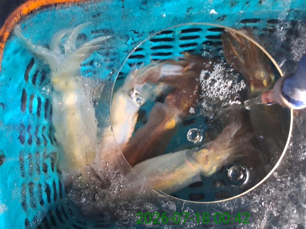 낚시뚜,기타 (직접입력),삼포항,삼포대교낚시,낚시뚜7