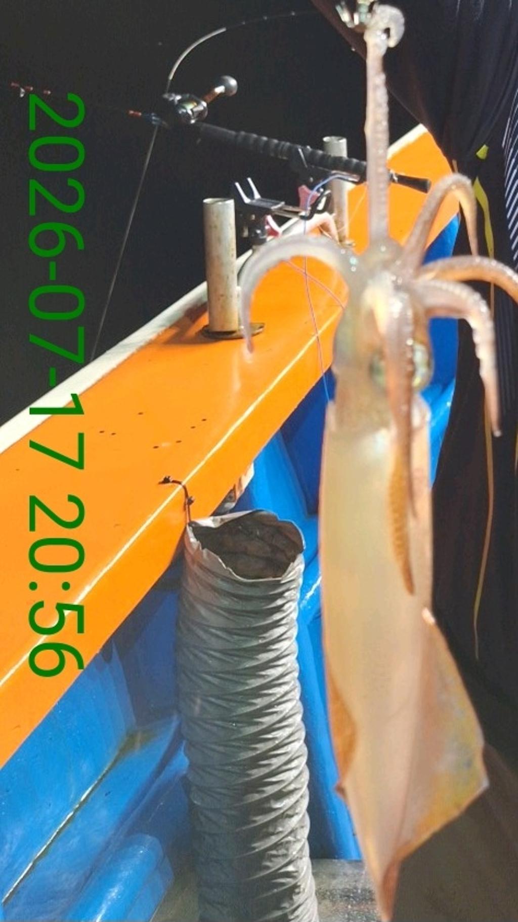 낚시뚜,기타 (직접입력),삼포항,삼포대교낚시,낚시뚜9
