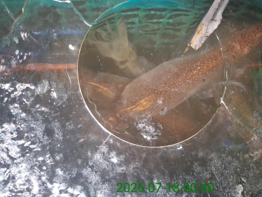 낚시뚜,기타 (직접입력),삼포항,삼포대교낚시,낚시뚜13