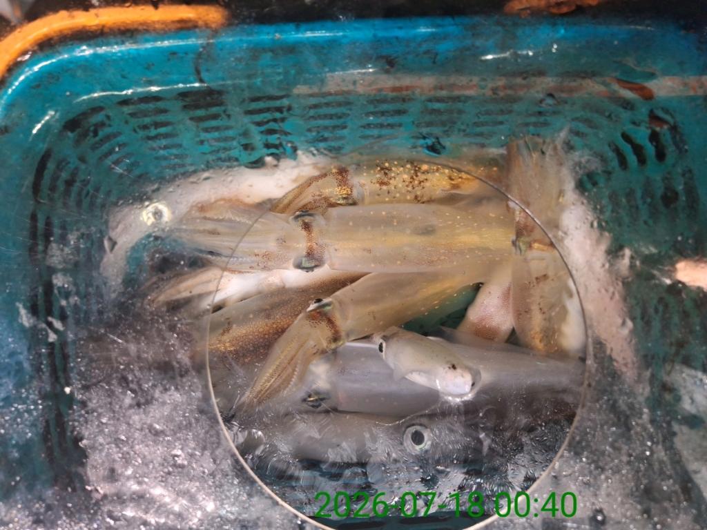낚시뚜,기타 (직접입력),삼포항,삼포대교낚시,낚시뚜14