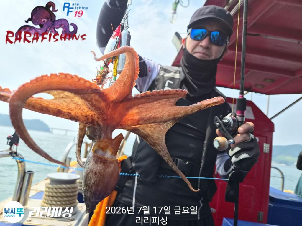 낚시뚜,돌문어,속천항(진해),라라피싱,낚시뚜9