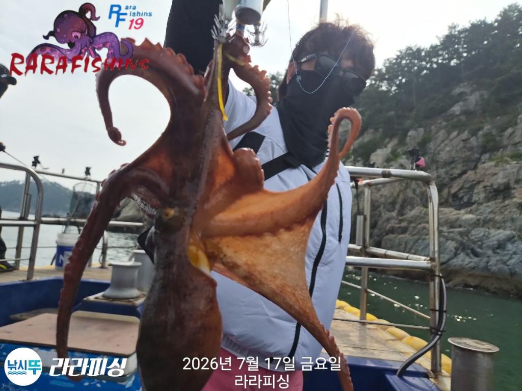 낚시뚜,돌문어,속천항(진해),라라피싱,낚시뚜6