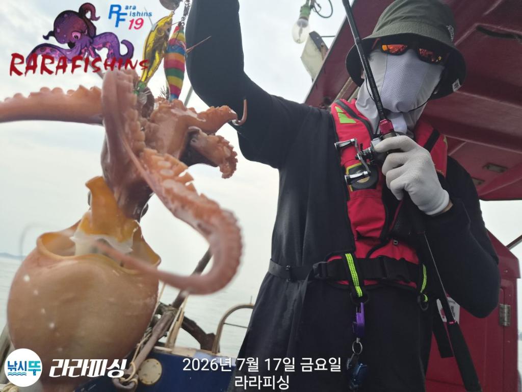 낚시뚜,돌문어,속천항(진해),라라피싱,낚시뚜9