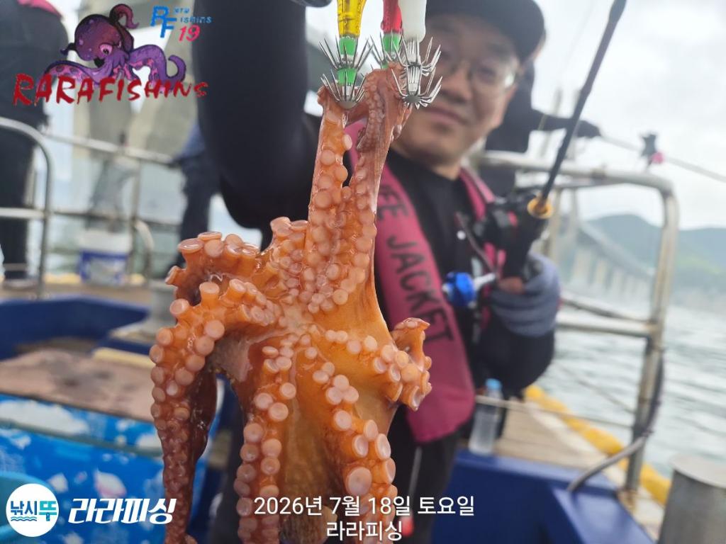 낚시뚜,돌문어,속천항(진해),라라피싱,낚시뚜5