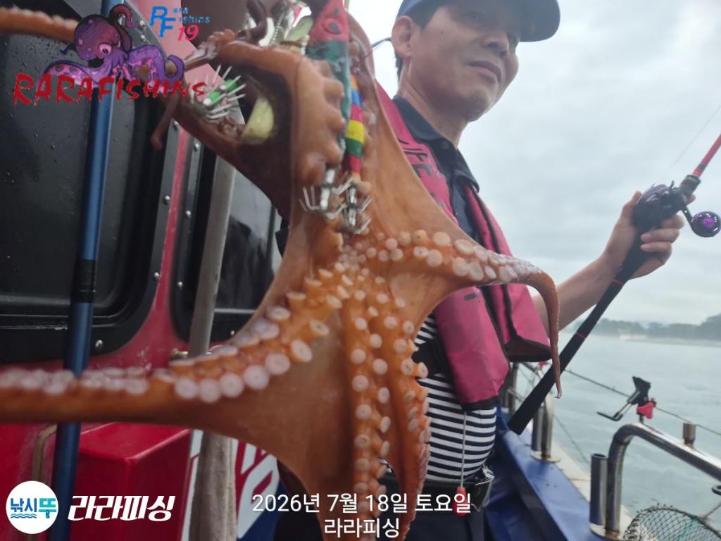 낚시뚜,돌문어,속천항(진해),라라피싱,낚시뚜4