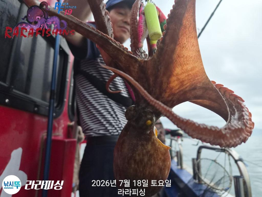 낚시뚜,돌문어,속천항(진해),라라피싱,낚시뚜2