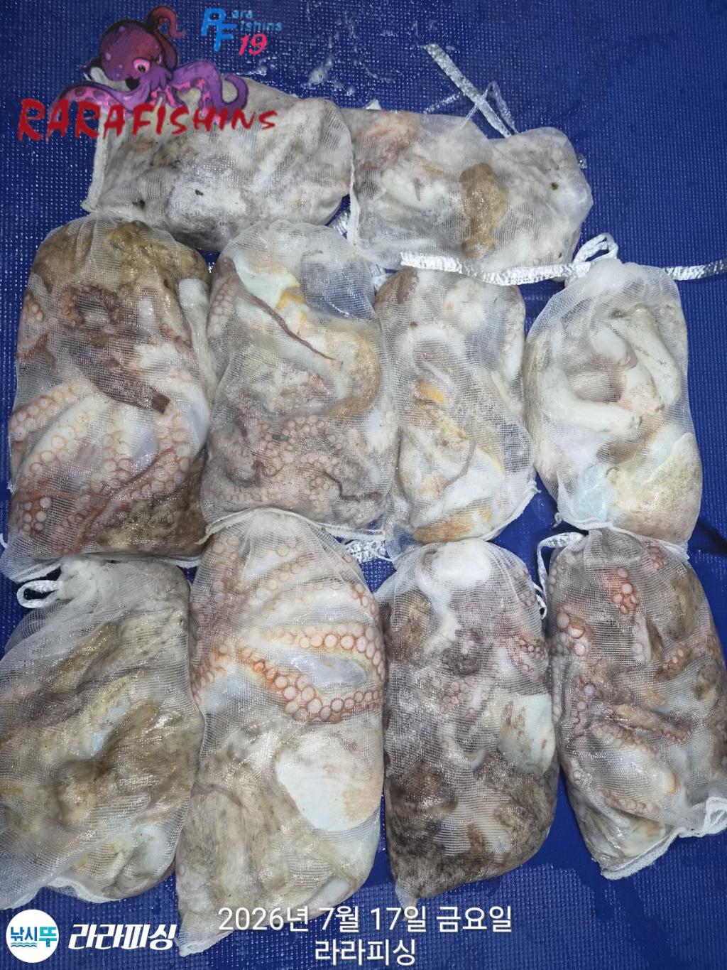 낚시뚜,돌문어,속천항(진해),라라피싱,낚시뚜0