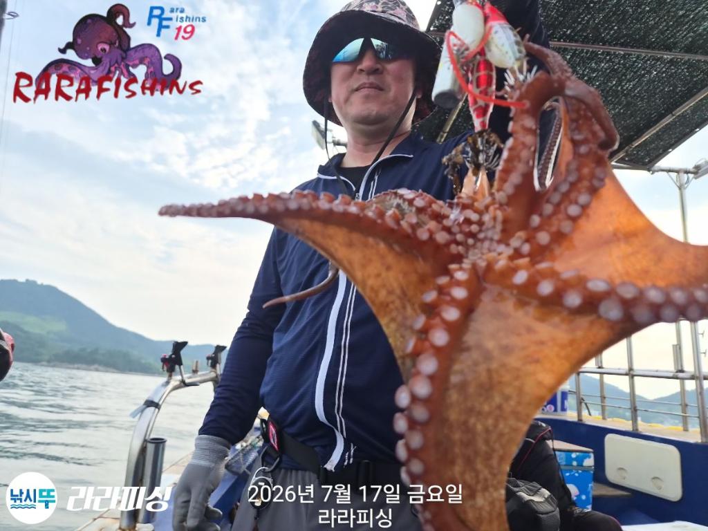 낚시뚜,돌문어,속천항(진해),라라피싱,낚시뚜5