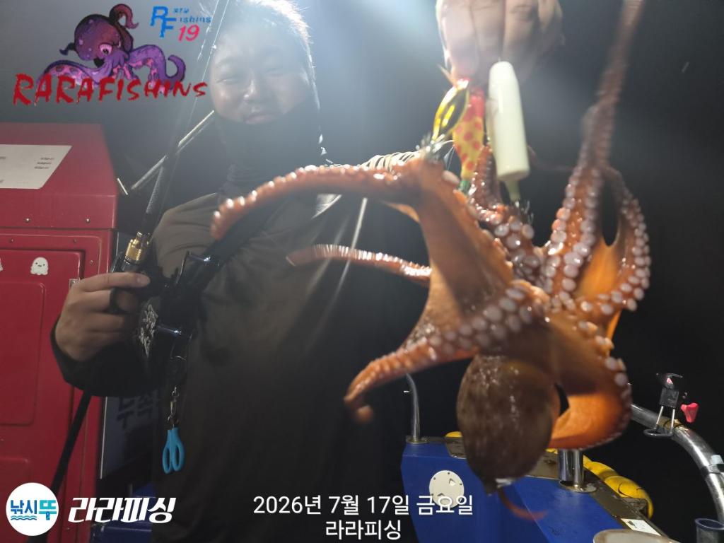 낚시뚜,돌문어,속천항(진해),라라피싱,낚시뚜4