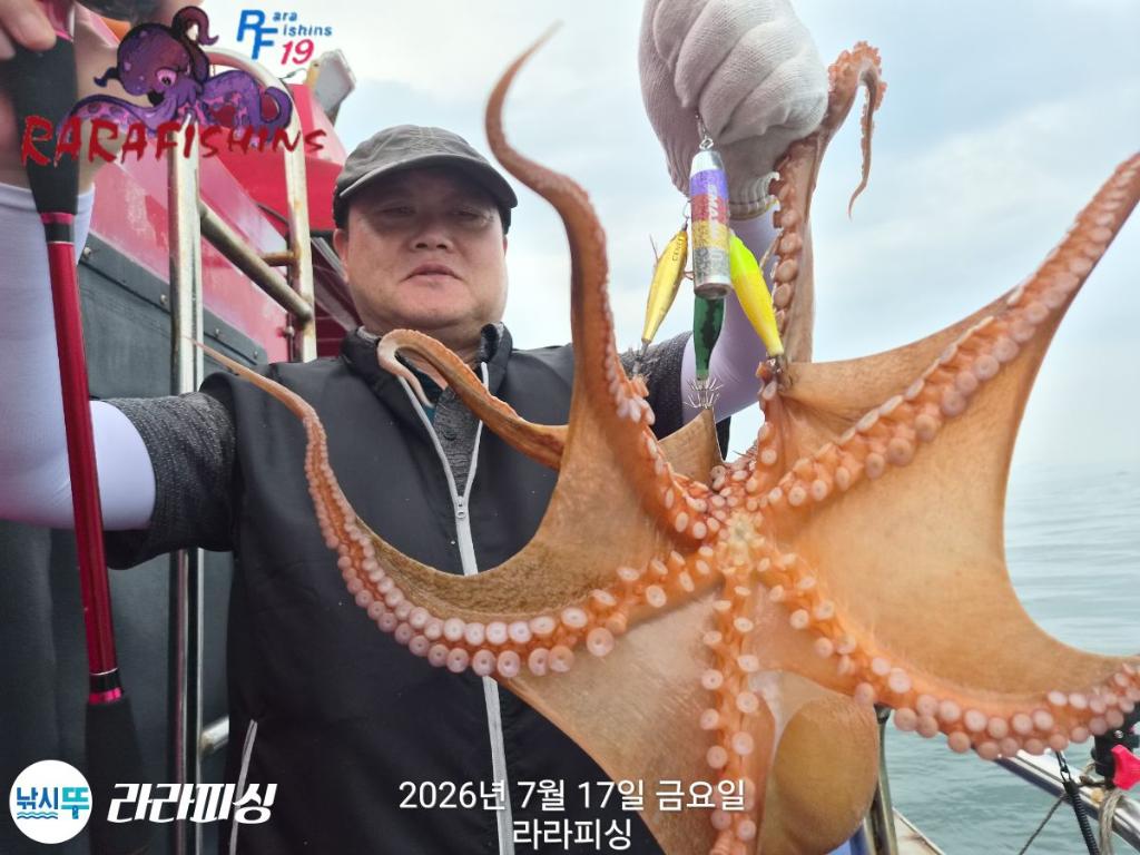 낚시뚜,돌문어,속천항(진해),라라피싱,낚시뚜2