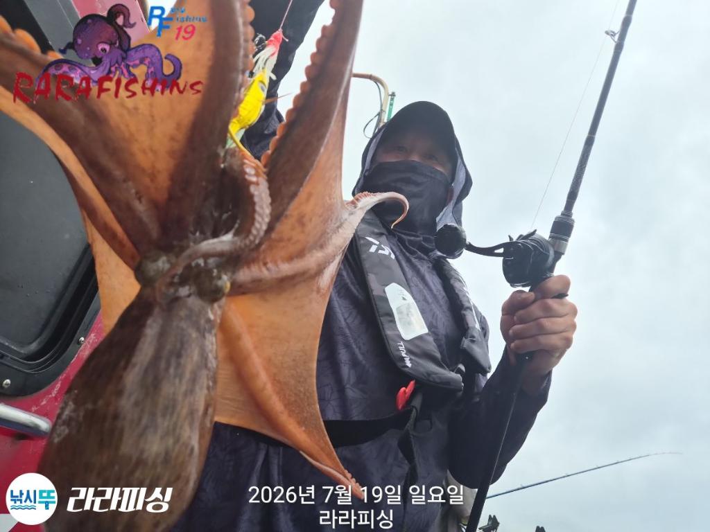 낚시뚜,돌문어,속천항(진해),라라피싱,낚시뚜8