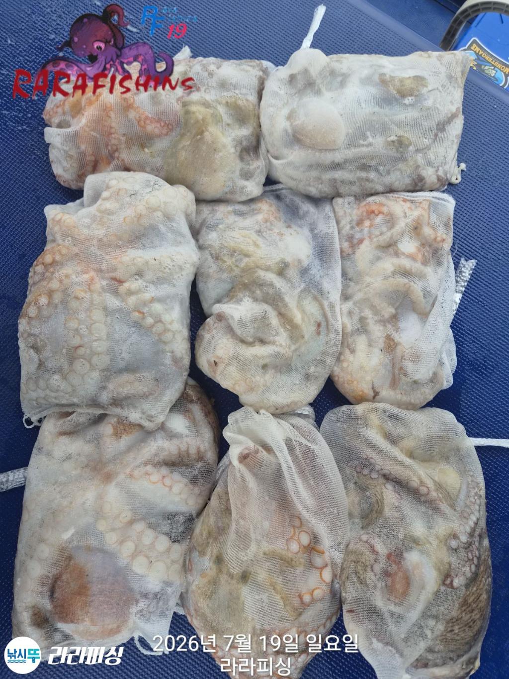 낚시뚜,돌문어,속천항(진해),라라피싱,낚시뚜1