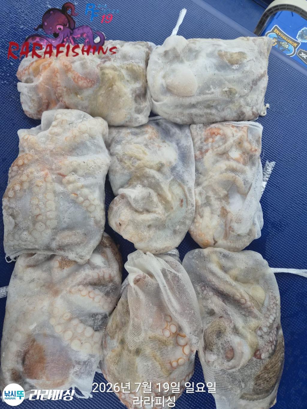 낚시뚜,돌문어,속천항(진해),라라피싱,낚시뚜0
