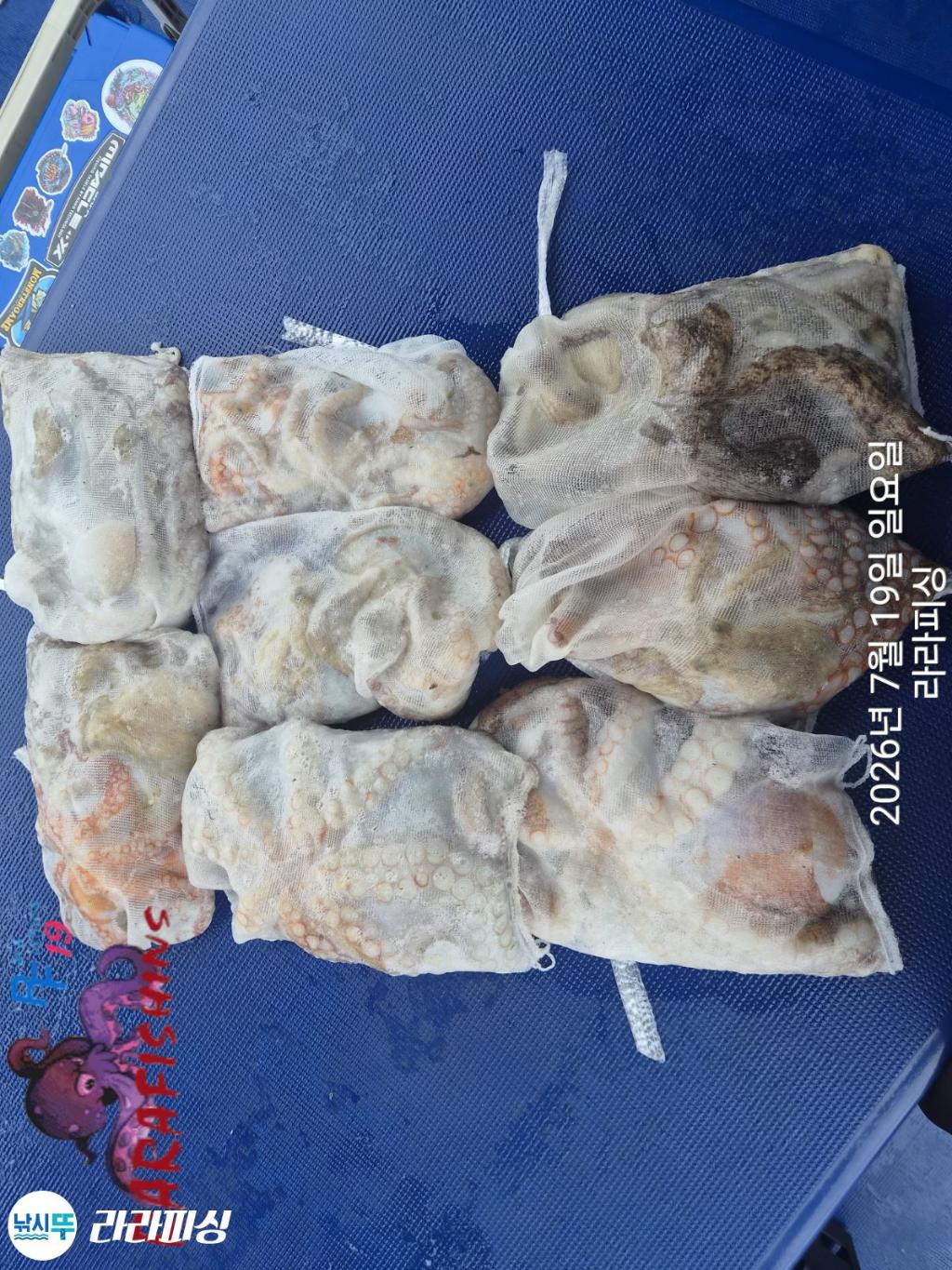 낚시뚜,돌문어,속천항(진해),라라피싱,낚시뚜17