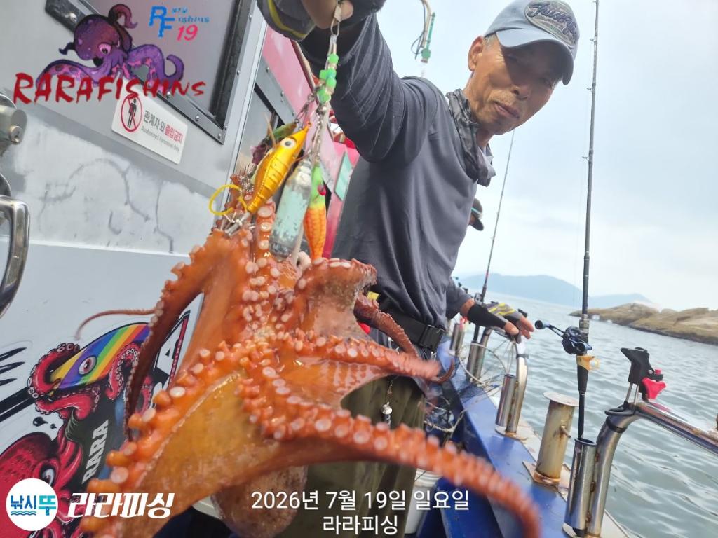 낚시뚜,돌문어,속천항(진해),라라피싱,낚시뚜5