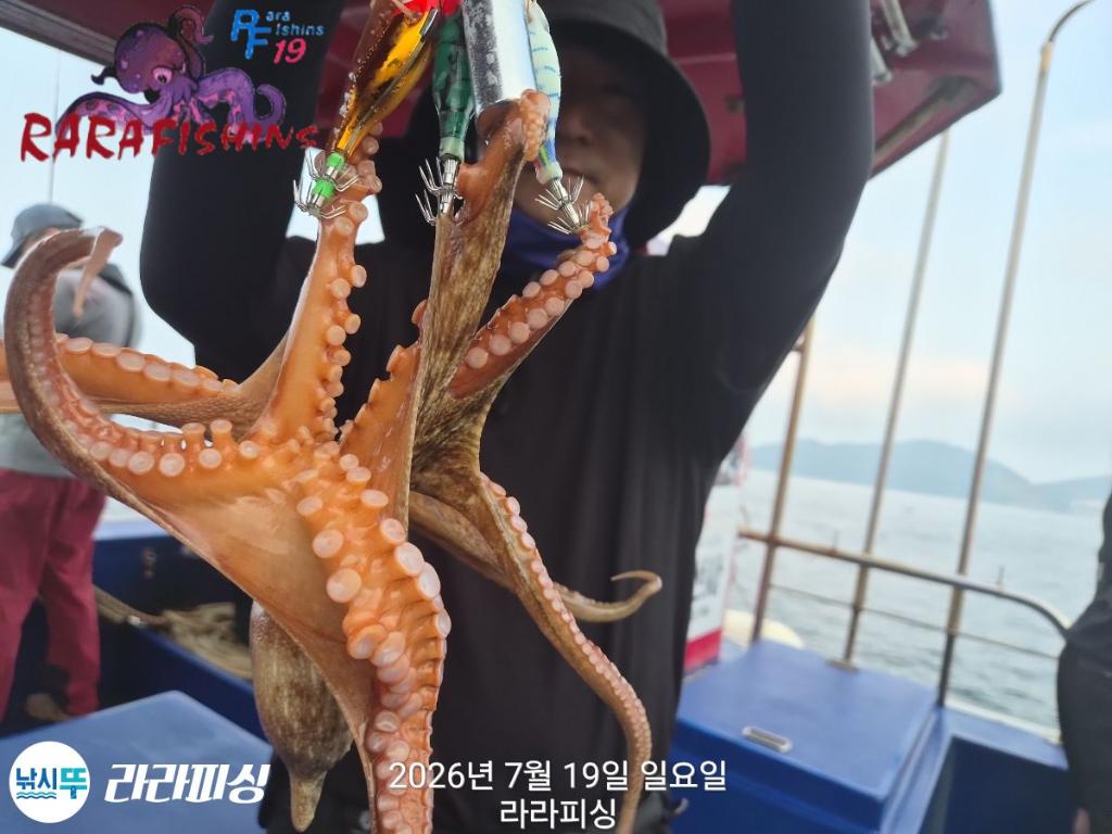 낚시뚜,돌문어,속천항(진해),라라피싱,낚시뚜4