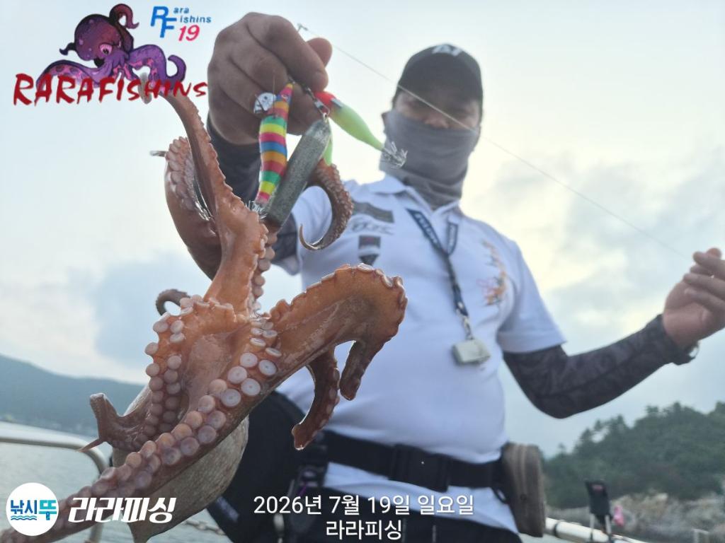 낚시뚜,돌문어,속천항(진해),라라피싱,낚시뚜3