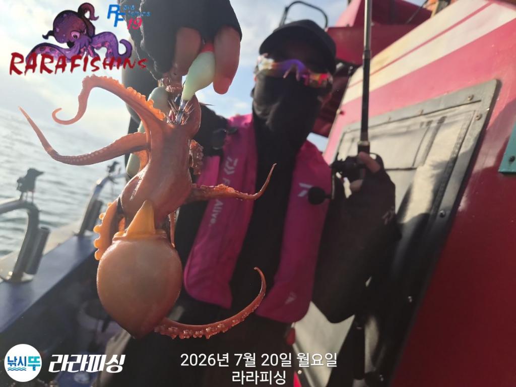 낚시뚜,돌문어,속천항(진해),라라피싱,낚시뚜4