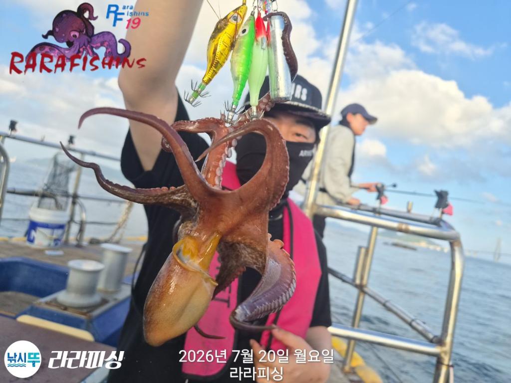 낚시뚜,돌문어,속천항(진해),라라피싱,낚시뚜3