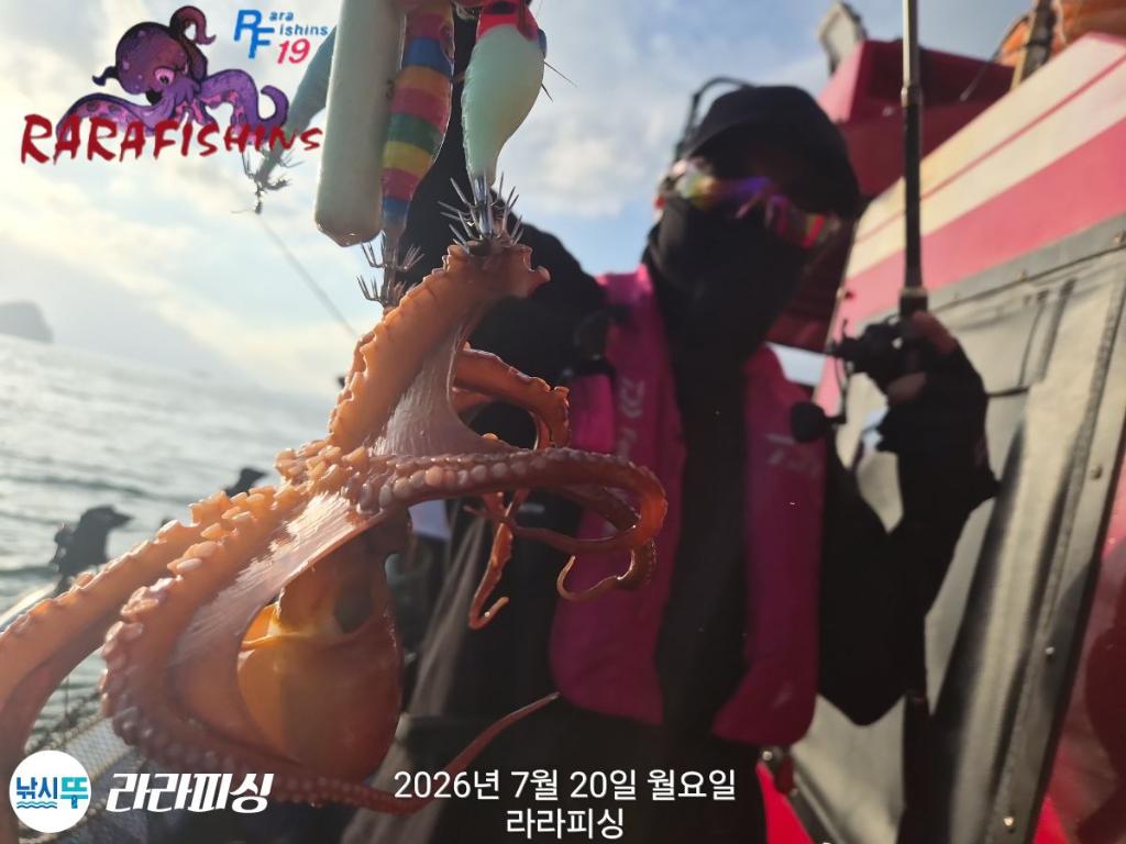 낚시뚜,돌문어,속천항(진해),라라피싱,낚시뚜2