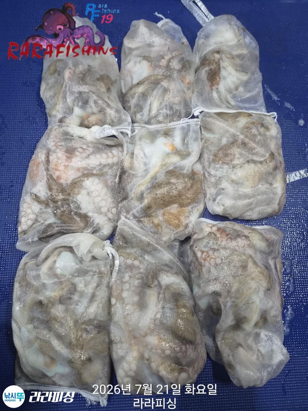 낚시뚜,돌문어,속천항(진해),라라피싱,낚시뚜0