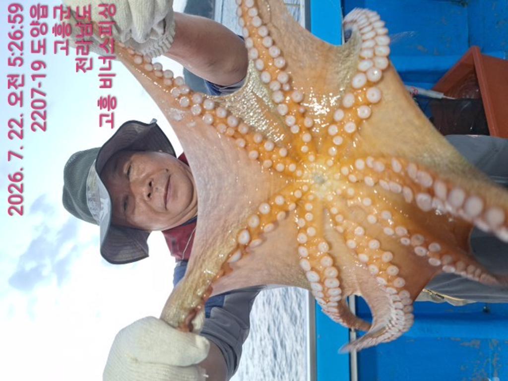 낚시뚜,,녹동항,비너스피싱,낚시뚜0
